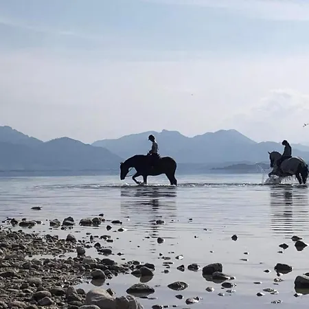Bayerischer Rueckzugsort In Der Naehe Des Chiemsees Übersee