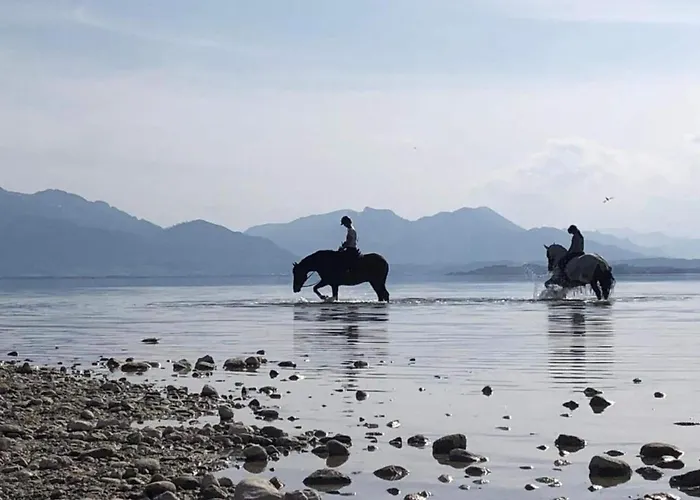 Bayerischer Rueckzugsort In Der Naehe Des Chiemsees Übersee