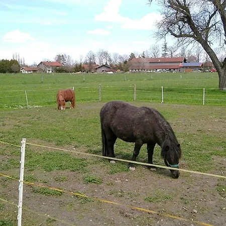 Near The Area * Ubersee