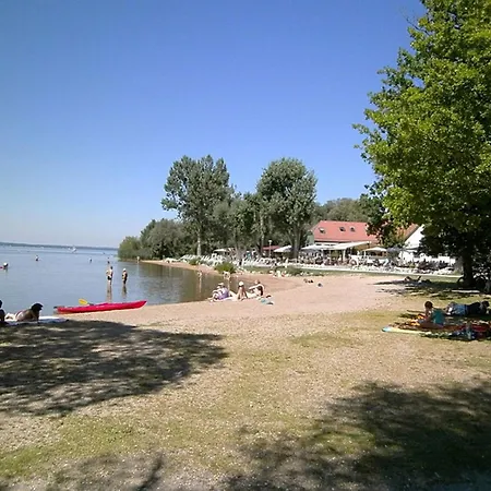 Near The Area Holiday home *